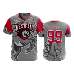 4076 MENS SPORT V NECK WESTFALL-2