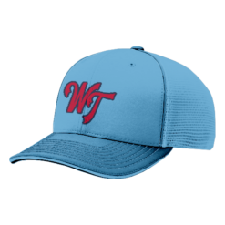 4228 R_P FLEX FIT CAP 172 WASTED-TALENT-1