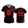 2573 WOMENS V NECK CENTRAL-OHIO-TIGERS-2