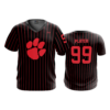 2573 MENS SPORT V NECK CENTRAL-OHIO-TIGERS-2