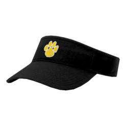 4322 RICHARDSON R160 VISOR CLAY-PANTHERS-1