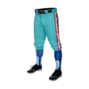 4176 MENS BASEBALL KNICKER PANT DRAFT-PANT-1