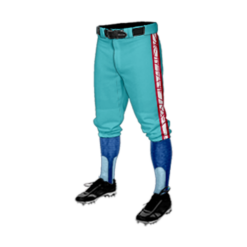 4176 MENS BASEBALL KNICKER PANT DRAFT-PANT-1