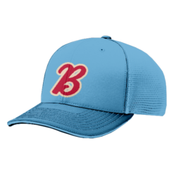 3820 R_P FLEX FIT CAP 172 THE-BOYS-1
