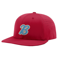 3820 R_P FLEX FIT CAP PTS30 THE-BOYS-1