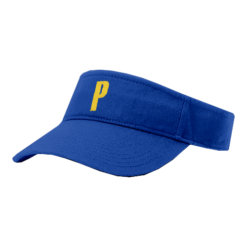 4322 RICHARDSON R160 VISOR CLAY-PANTHERS-2