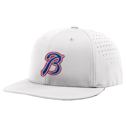 4232 R_P FLEX FIT CAP PTS30 THE-BOYS-1