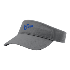 2530 RICHARDSON R160 VISOR