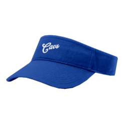 2530 RICHARDSON R160 VISOR