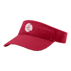 4797 RICHARDSON R160 VISOR PARKERSBURG-VISOR