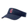 3823 RICHARDSON R160 VISOR OHIO-GLORY-1