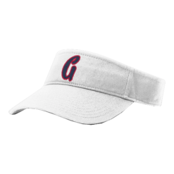 3823 RICHARDSON R160 VISOR OHIO-GLORY-2