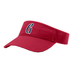 3823 RICHARDSON R160 VISOR OHIO-GLORY-3