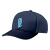 3820 R_P FLEX FIT CAP 172 THE-BOYS-1