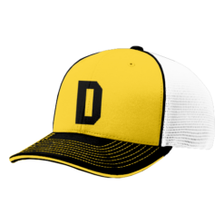 3308 R_P FLEX FIT CAP 172 DRAGONS-1