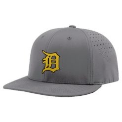 3308 R_P FLEX FIT CAP PTS30 DRAGONS-1