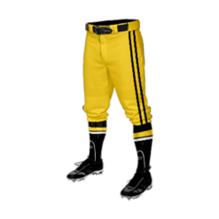 3308 MENS BASEBALL KNICKER PANT DRAGONS-2