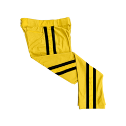 3308 MENS BALLPARK CUSTOM BRAID PANTS DRAGONS-2
