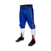 3676 MENS BASEBALL KNICKER PANT WHATEVER-SOFTBALL-1