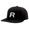 3420 R_P FLEX FIT CAP PTS30 REGENERON-1