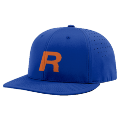 3420 R_P FLEX FIT CAP PTS30 REGENERON-1