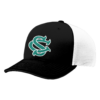 3874 R_P FLEX FIT CAP 172 COLUMBUS-SHARKS-25-1