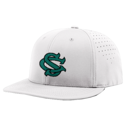 3874 R_P FLEX FIT CAP PTS30 COLUMBUS-SHARKS-25-1