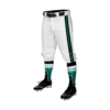 3874 MENS BASEBALL KNICKER PANT COLUMBUS-SHARKS-25-2
