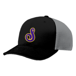 4813 R_P FLEX FIT CAP 172 SHOWTIME-1
