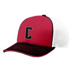2450 R_P FLEX FIT CAP 172 COMACHOS-1