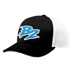 4821 R_P FLEX FIT CAP 172 BELOW-ZERO-1