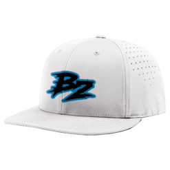 4821 R_P FLEX FIT CAP PTS30 BELOW-ZERO-1