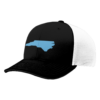 3991 R_P FLEX FIT CAP 172 CAROLINA-CRUSHERS-1