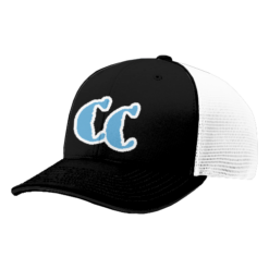 3991 R_P FLEX FIT CAP 172 CAROLINA-CRUSHERS-3