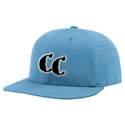 3991 R_P FLEX FIT CAP PTS30 CAROLINA-CRUSHERS-3