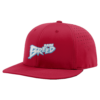 4811 R_P FLEX FIT CAP PTS30 RARE-BREED-1