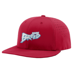 4811 R_P FLEX FIT CAP PTS30 RARE-BREED-1