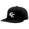3991 R_P FLEX FIT CAP PTS30 CAROLINA-CRUSHERS-1