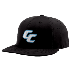 3991 R_P FLEX FIT CAP PTS30 CAROLINA-CRUSHERS-1