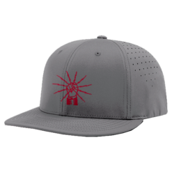 3896 R_P FLEX FIT CAP PTS30 IBEW-176-1