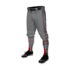 3896 MENS BASEBALL KNICKER PANT IBEW-176-2