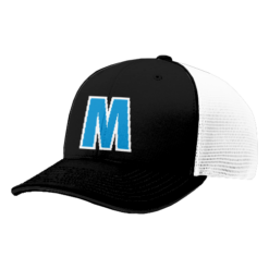 4804 R_P FLEX FIT CAP 172 MCGREGOR-1