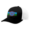4807 R_P FLEX FIT CAP 172 CHELS-1