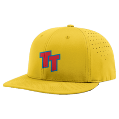 4818 R_P FLEX FIT CAP PTS30 TWIST-N-TWO-1