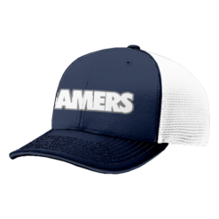 3379 R_P FLEX FIT CAP 172 GAMERS-1