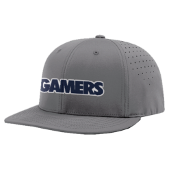 3379 R_P FLEX FIT CAP PTS30 GAMERS-1