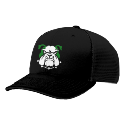 4255 R_P FLEX FIT CAP PTS30 DIAMOND-DOGS-ADD