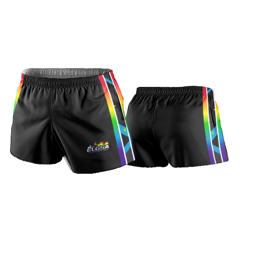 4803  ULTRA HIGH RISELYCRA MESH SHORTS