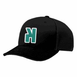 1727 R_P FLEX FIT CAP 172 STRIKE-OUT-2025