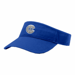 3149 RICHARDSON R160 VISOR CENTRAL-OHIO-ICE-1